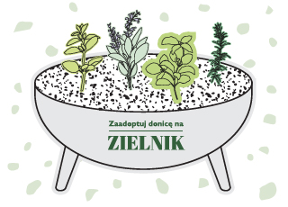 Akcja społeczna Zaadoptuj donicę na zielnik