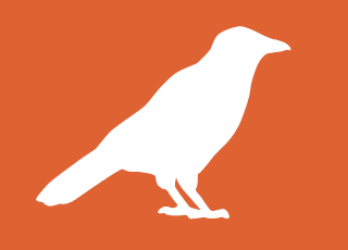 Miasto zwierząt. Dzikie ptaki miejskie