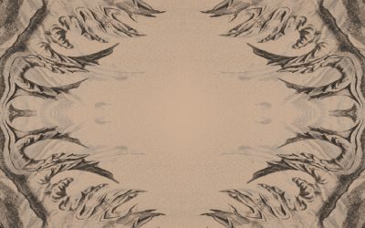 Wystawa Powłoki i pancerze