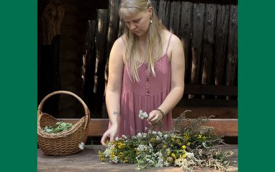 Spacer z rozpoznawaniem dzikich roślin jadalnych – prowadzenie Kasia Sianko